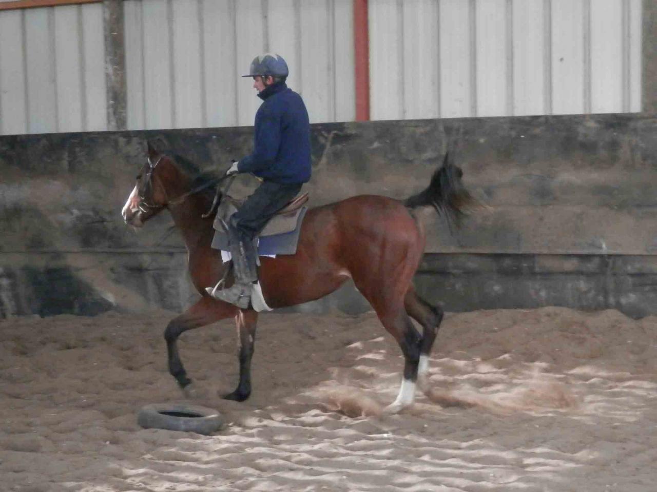 130227 Pré-entraînement 1