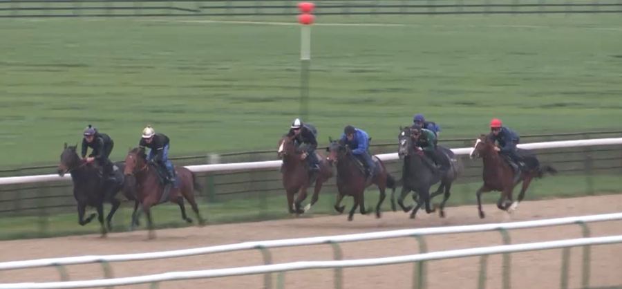 131106 Chantilly Canter 03b