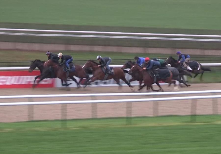 131106 Chantilly Canter 06b