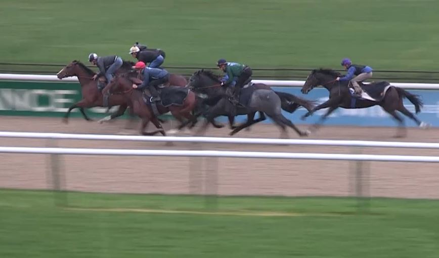 131106 Chantilly Canter 07b