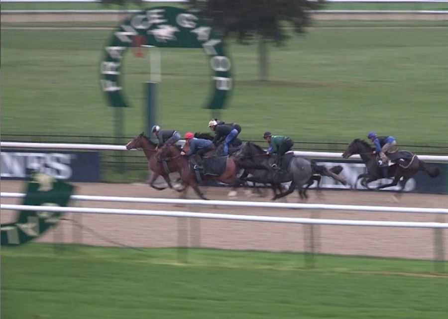 131106 Chantilly Canter 09b