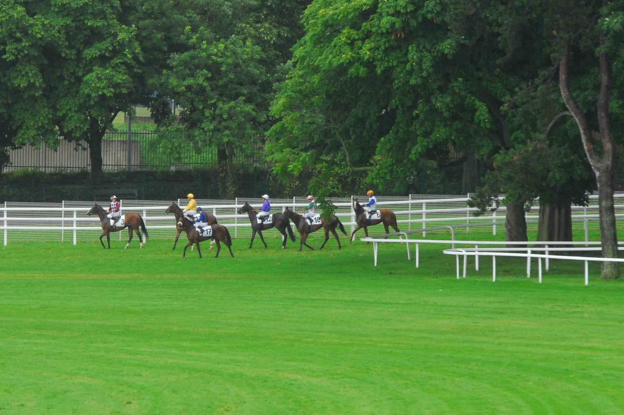 140629 Prix de Pau à St Cloud (6)