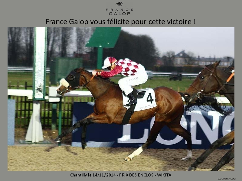 141114 Prix des Enclos à Chantilly