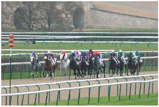 141114 Prix des Enclos à Chantilly