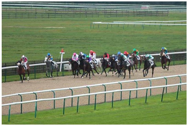 141114 Prix des Enclos à Chantilly
