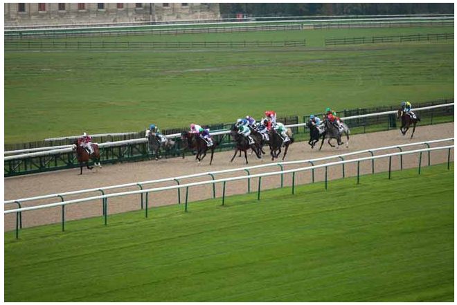 141114 Prix des Enclos à Chantilly