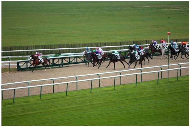 141114 Prix des Enclos à Chantilly