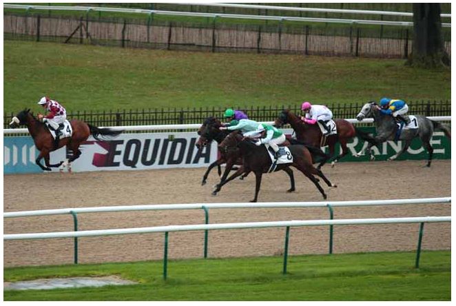 141114 Prix des Enclos à Chantilly