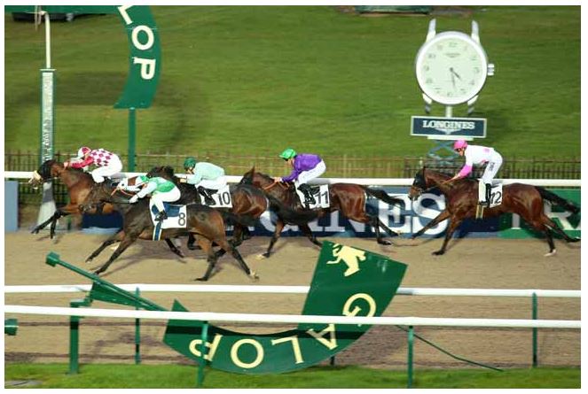 141114 Prix des Enclos à Chantilly