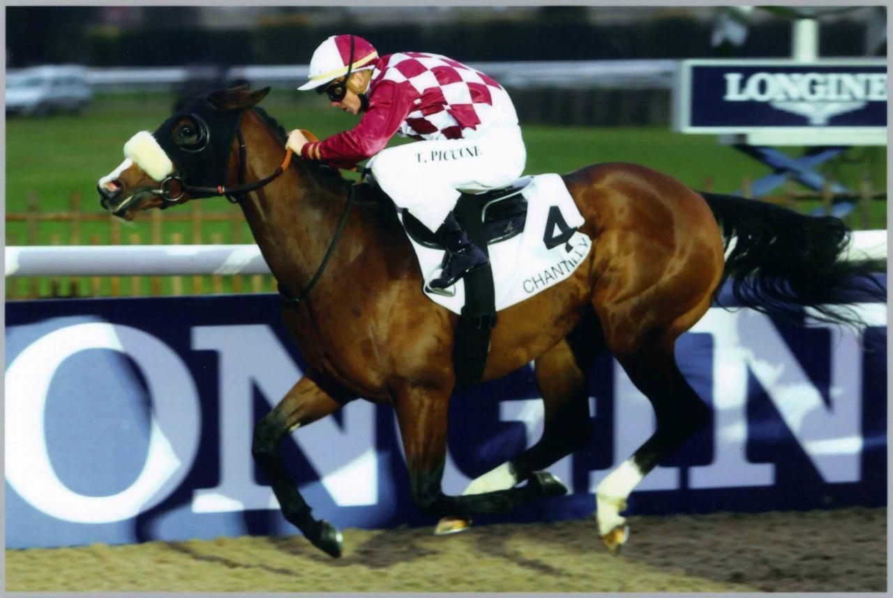 141114 Prix des Enclos à Chantilly