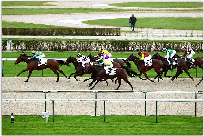 141212 Prix de Cisai à Deauville