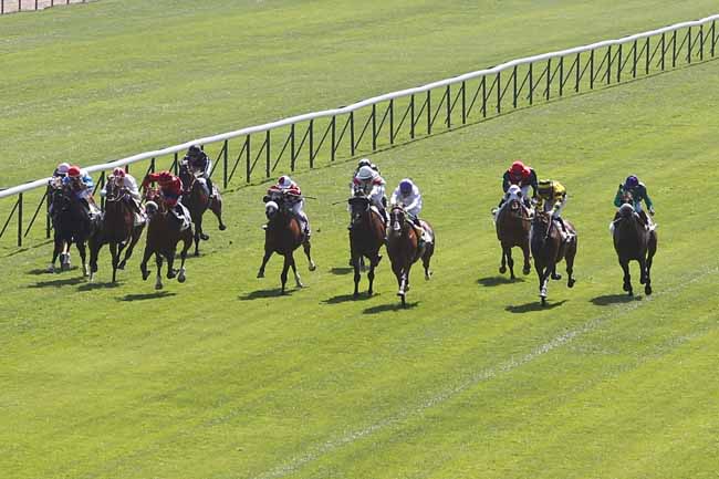 150423 Prix de la Monnaie de Paris à Longchamp