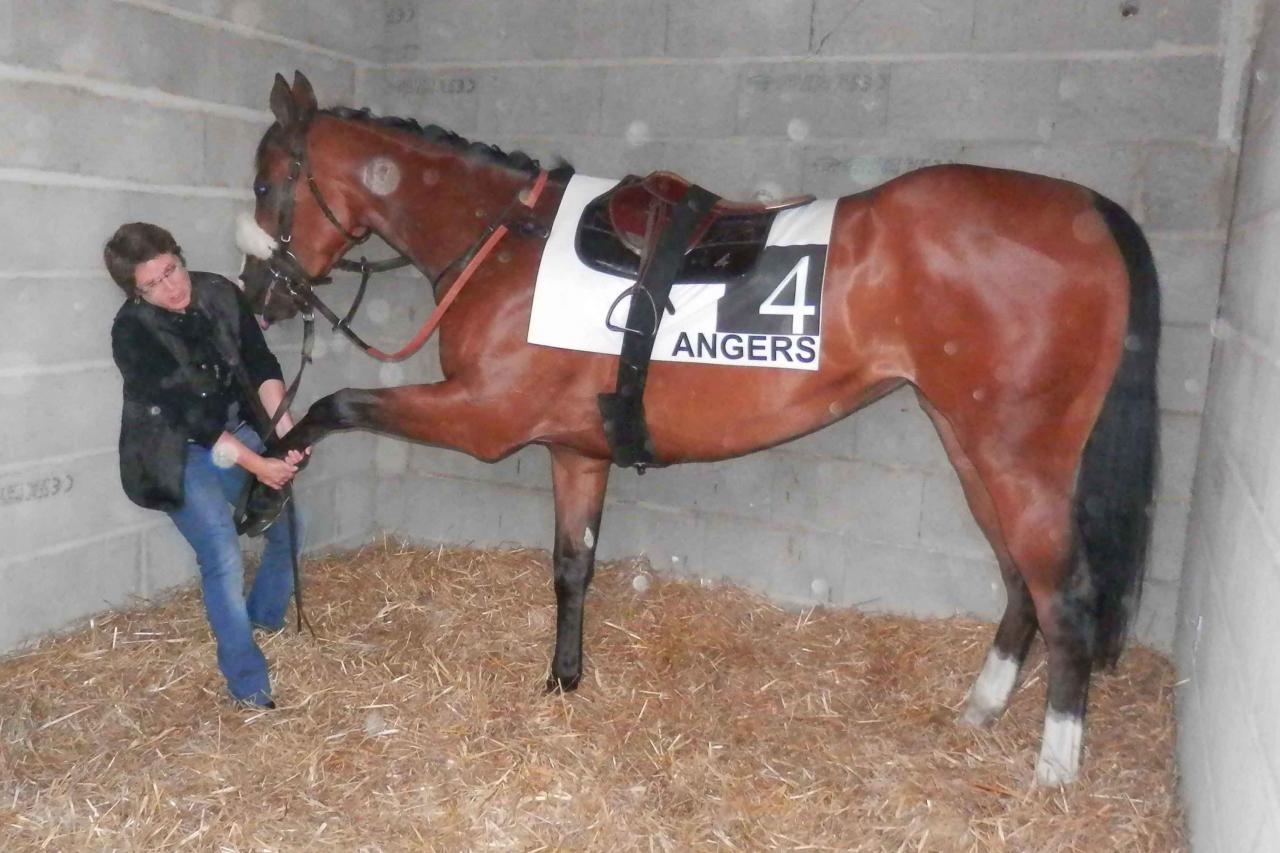 150519 Prix du Roi René à Angers