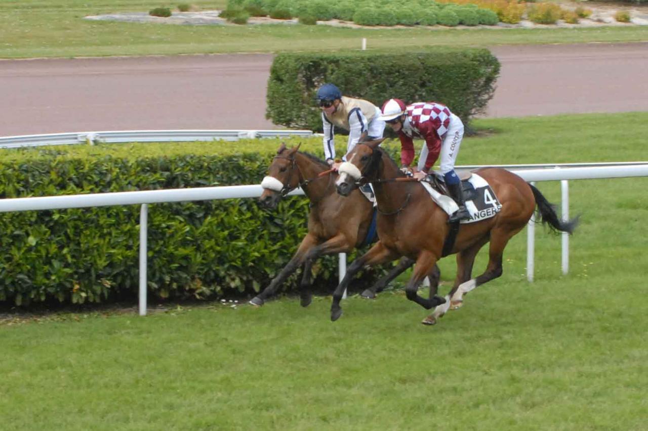 150519 Prix du Roi René à Angers
