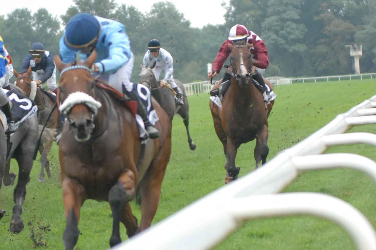 150913 Prix Daouda Ka à Mont-de-Marsan