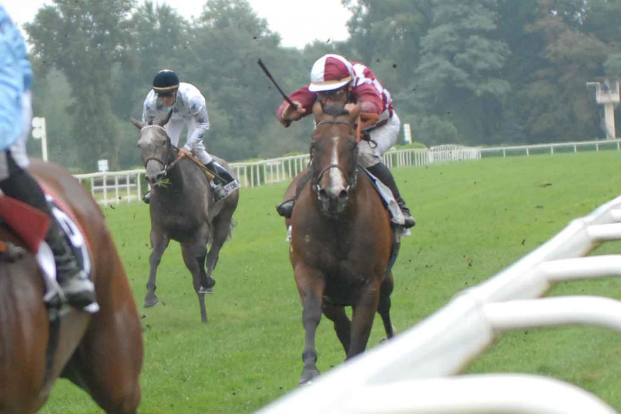 150913 Prix Daouda Ka à Mont-de-Marsan
