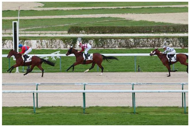 141022 Prix de la Sanne à Deauville