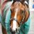 140501 concentration avant course
