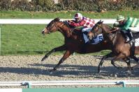 170105 st james 08 1