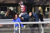 170105 st james 09 1