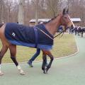 170223 deauville 1
