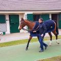 170223 deauville 2