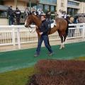 170223 deauville 4