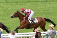 170522 chantilly aly khan 4