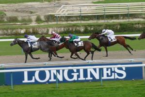 22538975 1457720944346170 3230897052472508776 o