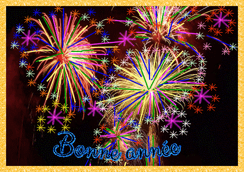 Bonne annee 2017