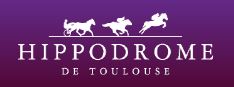 Toulouse logo